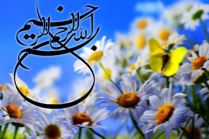 عکس بسم الله الرحمن الرحیم گل و پروانه