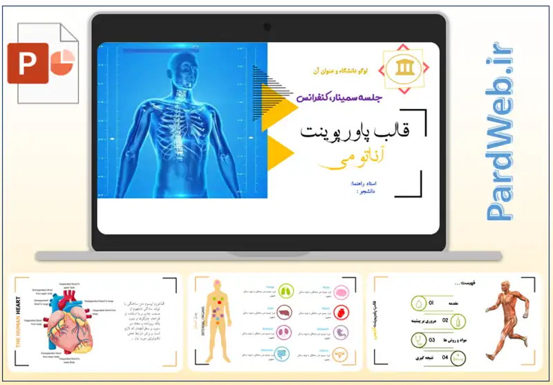 قالب پاورپوینت آناتومی حرفه ای