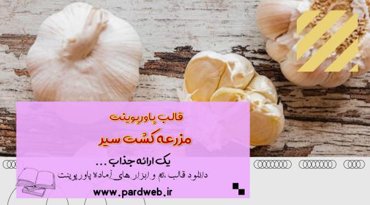 دانلود قالب پاورپوینت مزرعه کشت سیر