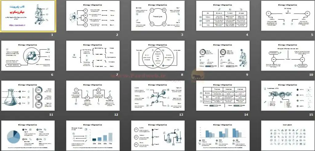 دانلود قالب پاورپوینت میکروسکوپ