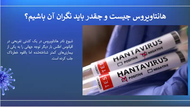 قالب پاورپوینت عفونت های ویروسی هانتاویروس 3 عفونت های ویروسی هانتاویروس