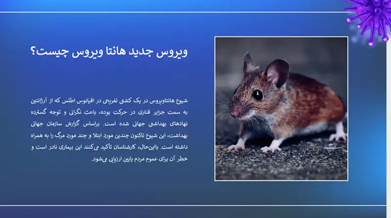 قالب پاورپوینت عفونت های ویروسی هانتاویروس 4 قالب پاورپوینت عفونت های ویروسی هانتاویروس
