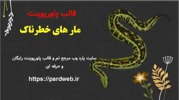 قالب پاورپوینت مارهای خطرناک 1 قالب پاورپوینت مار های خطرناک