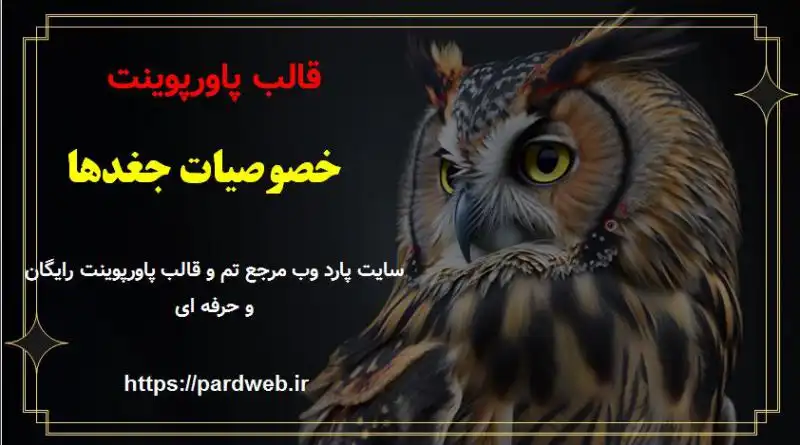 قالب پاورپوینت خصوصیات جغدها