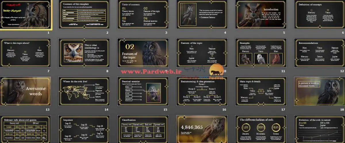 دانلود قالب پاورپوینت خصوصیات جغدها