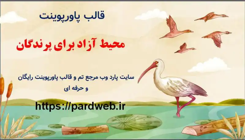 قالب پاورپوینت محیط آزاد برای پرندگان 1 قالب پاورپوینت محیط آزاد برای پرندگان
