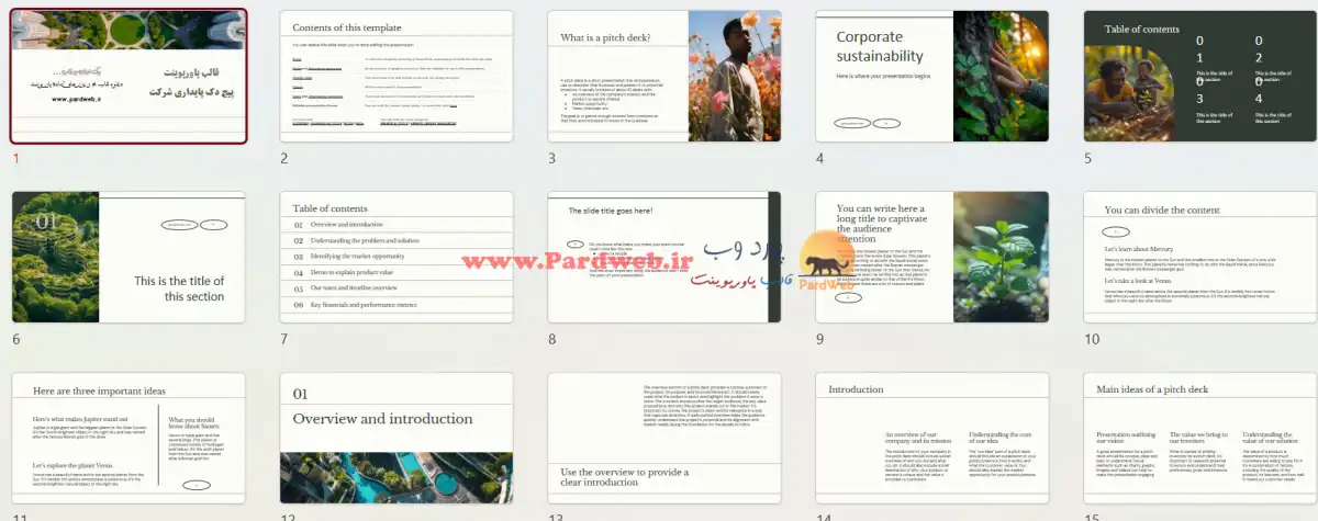 دانلود قالب پاورپوینت پیچ دک پایداری شرکت