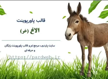 قالب پاورپوینت الاغ - خر