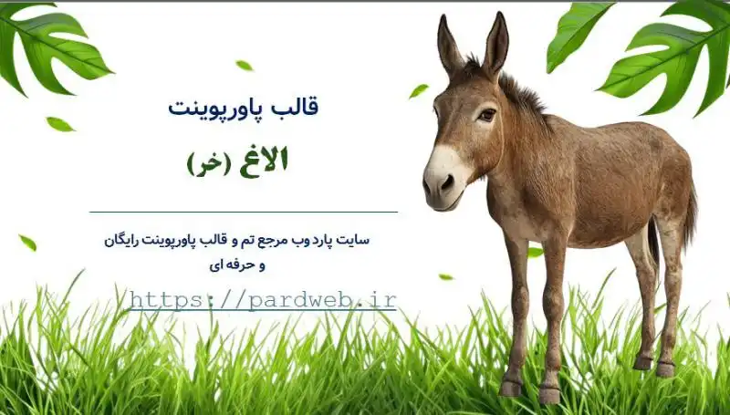 قالب پاورپوینت الاغ - خر