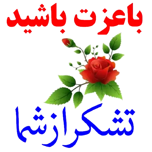 با عزت باشید