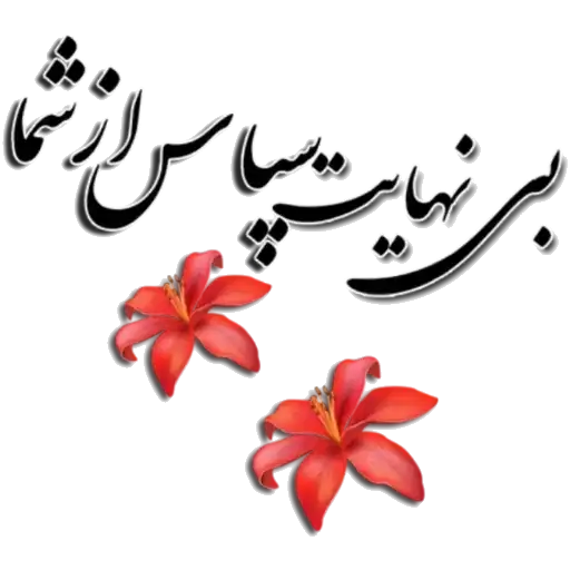 بی نهایت سپاس از شما