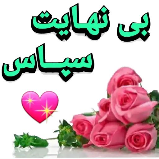 بی نهایت سپاس