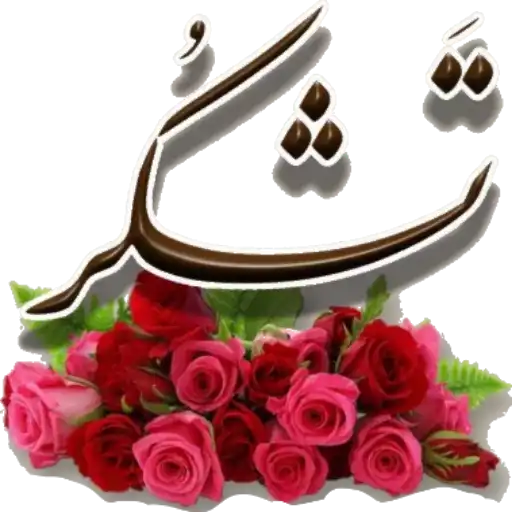 تشکر 2