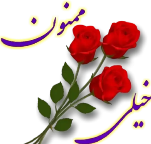 خیلی ممنون