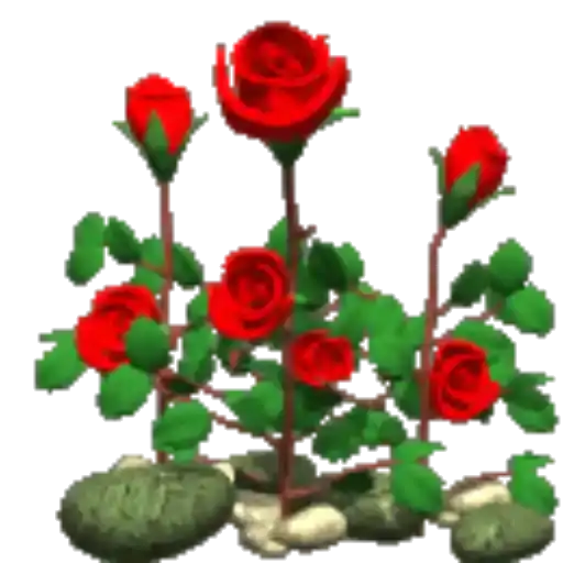 شاخه گل
