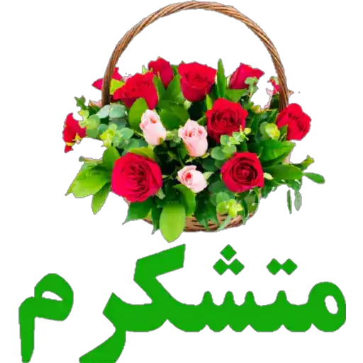 متشکرم