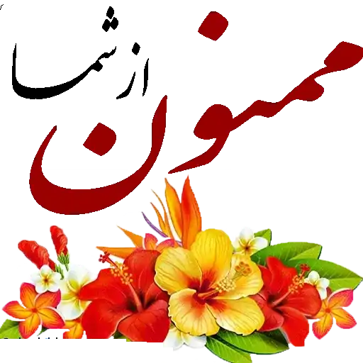 ممنون از شما