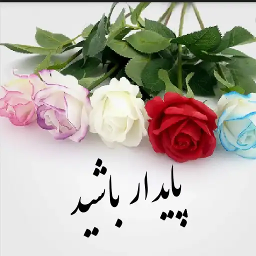 پایدار باشید